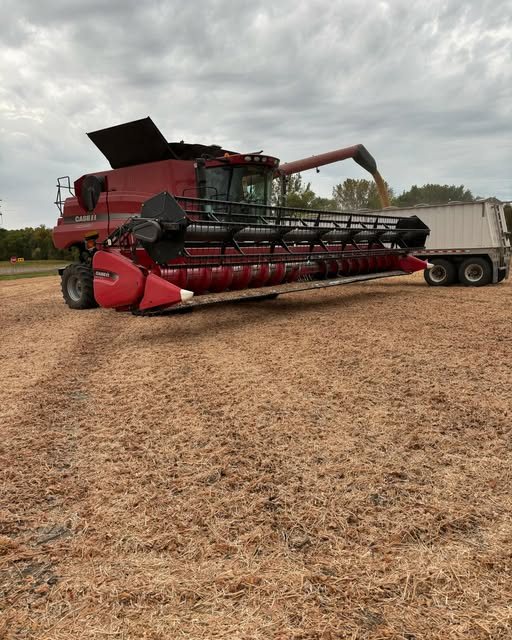 Case IH combine with its header down in a soybean field under grey skies