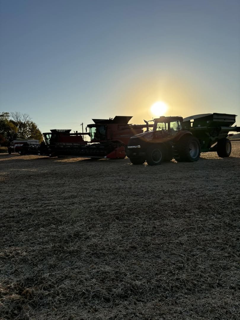 Combine and grain cart silhouetted against the sun in a harvested field