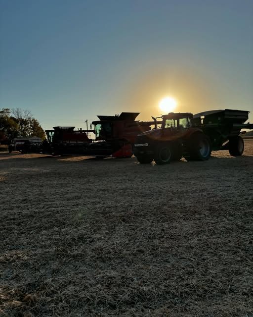 Sun setting behind the combine and grain cart