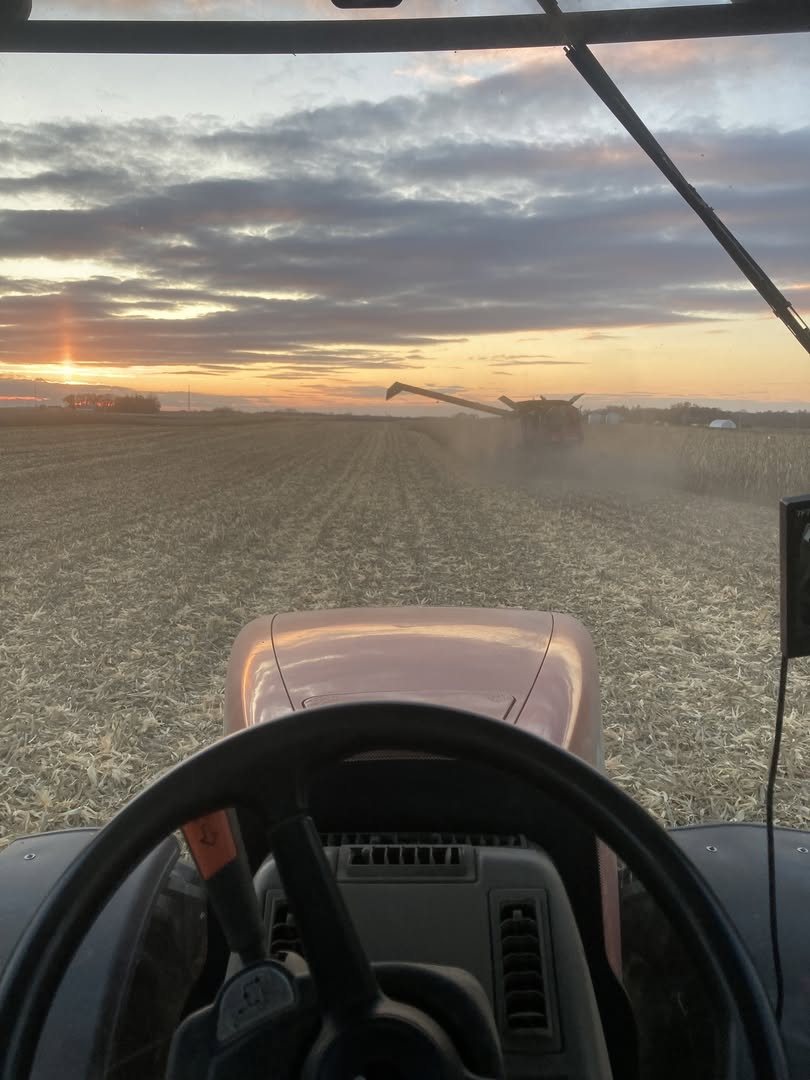 Harvest seen through the tractor windshield at sunset